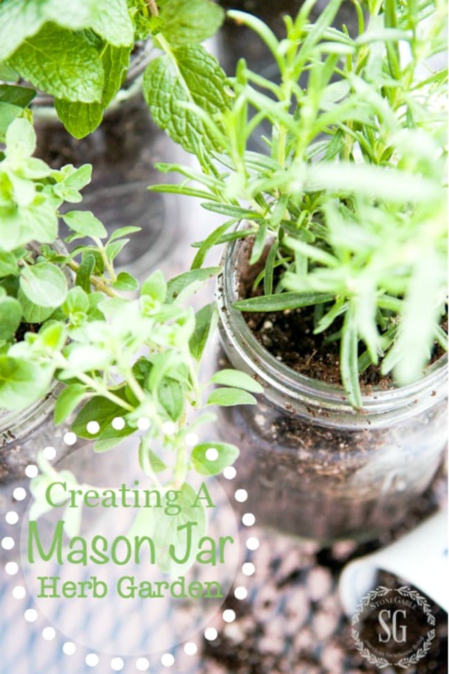 CREATING-A-MASON-JAR-HERB-GARDEN-A-10-minute-project