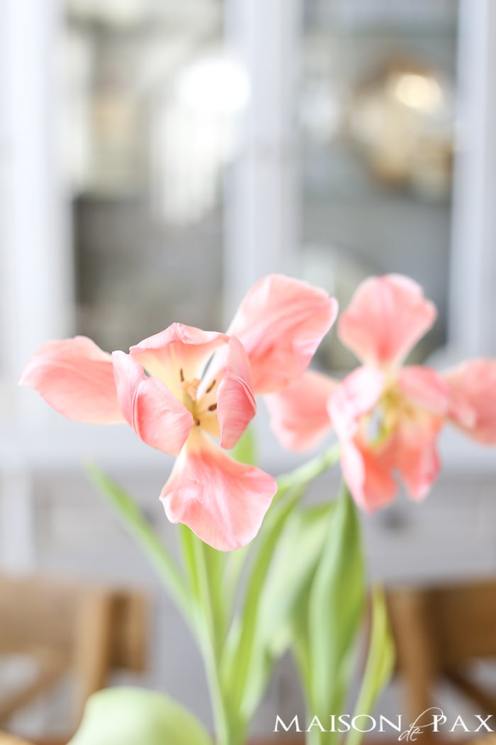 What a lovely, simple Valentines Day table! This pretty, simple tablescape would be perfect for any brunch, tea, or even snack to celebrate your loved ones... 