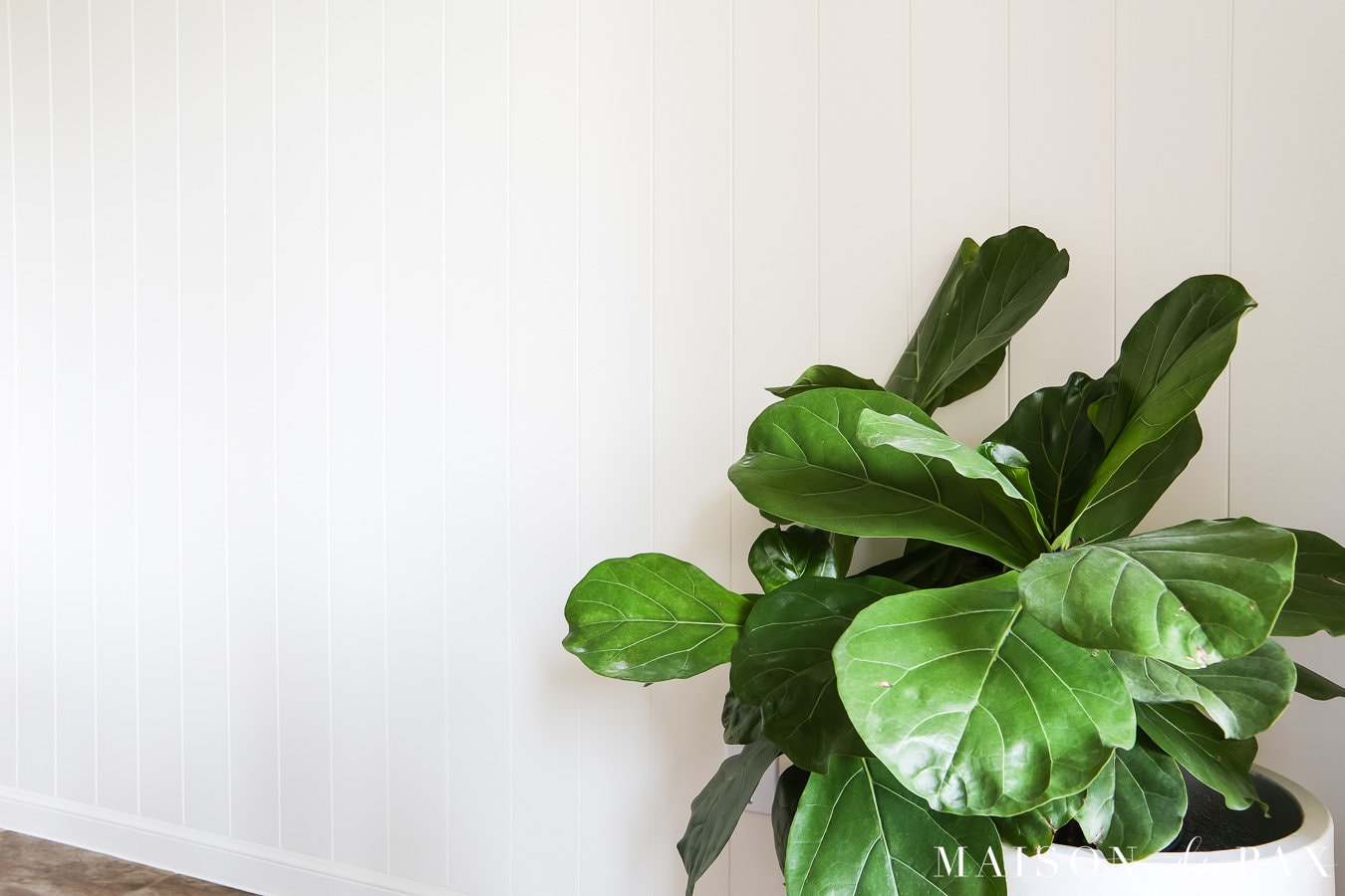 satin paint on vertical plank wall in SW Alabaster