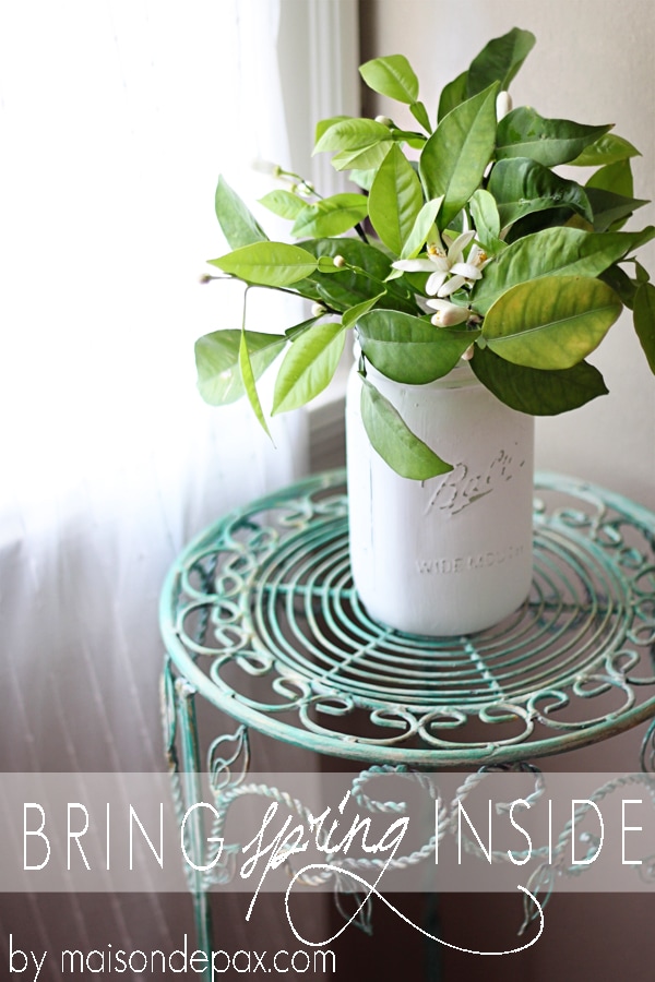 Bring Some Spring Inside