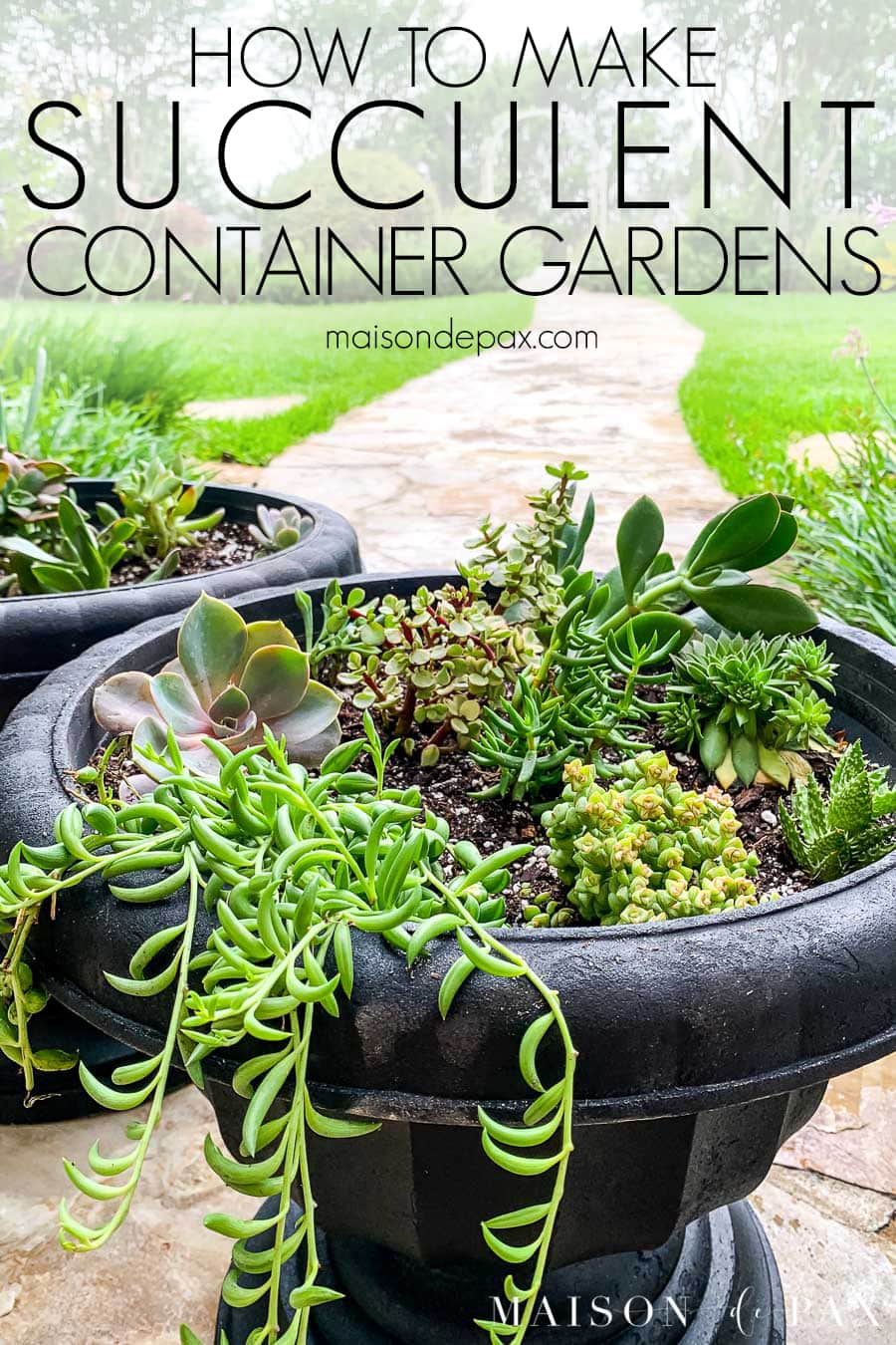 black planter filled with succulents with overlay: how to make succulent container gardens | Maison de Pax