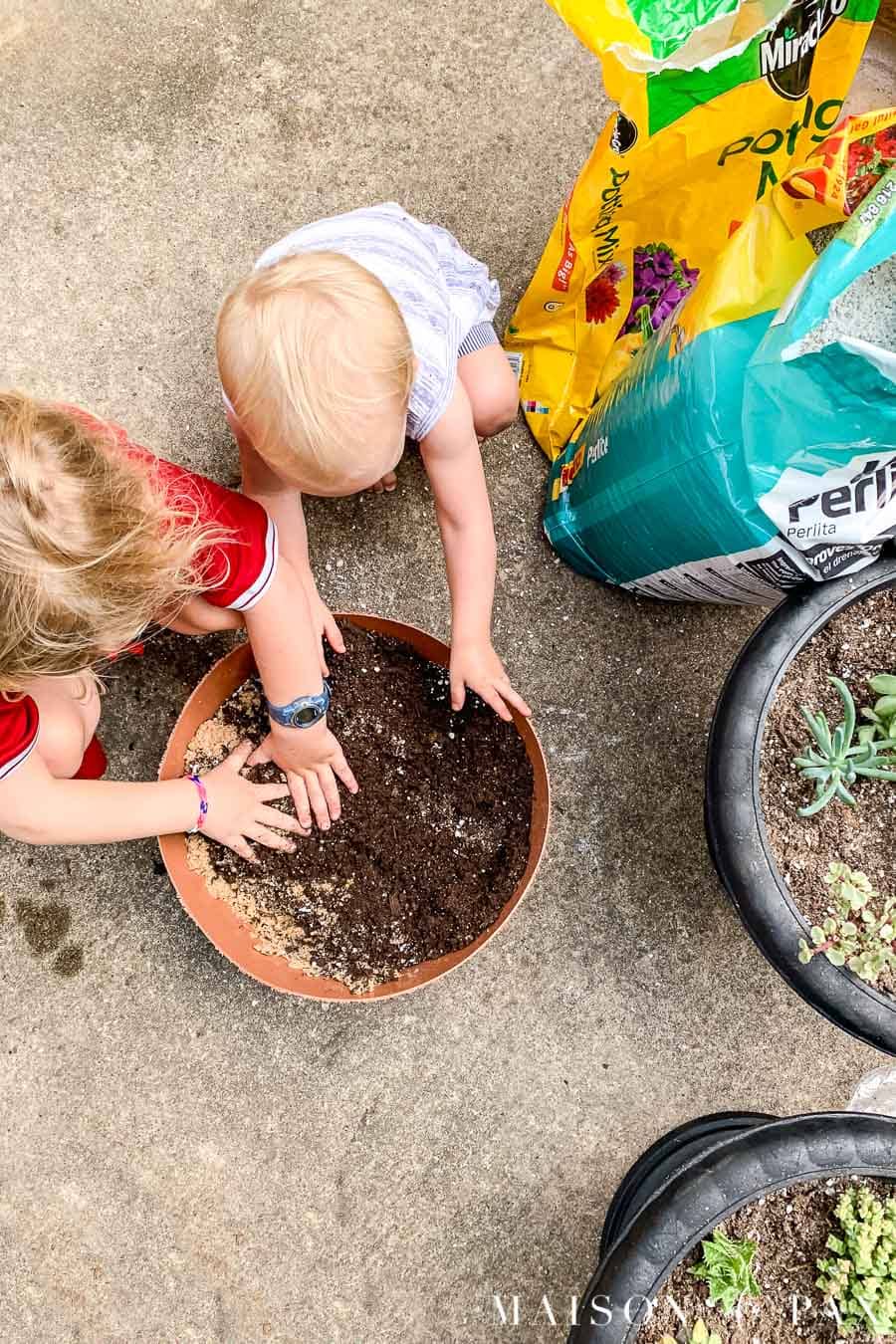 DIY Succulent Soil Potting Mix