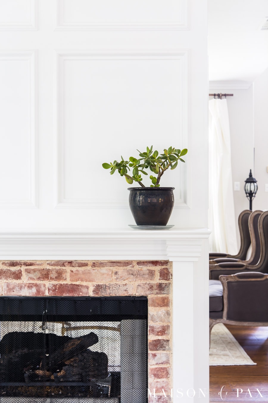 Low Maintenance House Plants: Easy to Care for Indoor Plants