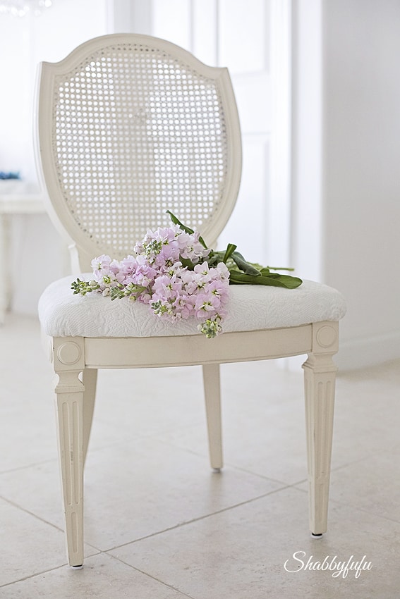 French Country Series | Shabbyfufu