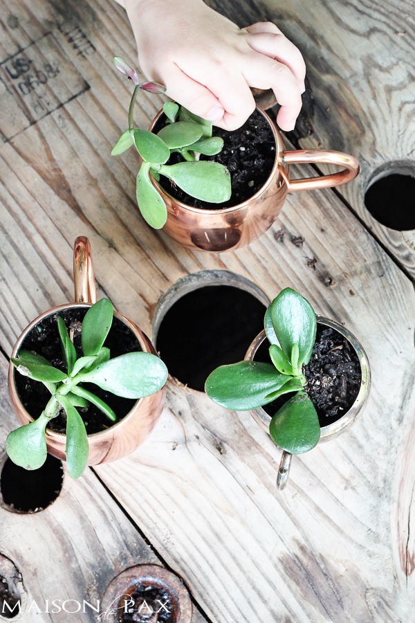 DIY mini succulent planters- Maison de Pax