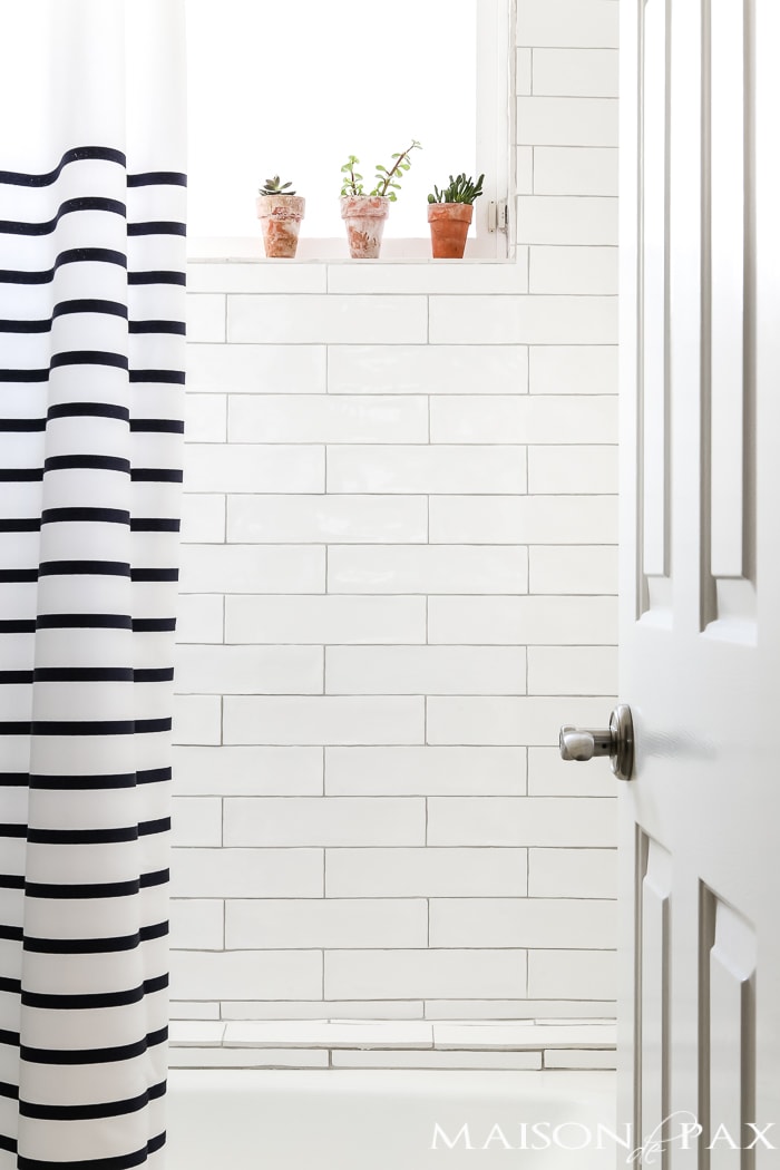 mini jade and other succulents in terra cotta pots on shower ledge | Maison de Pax