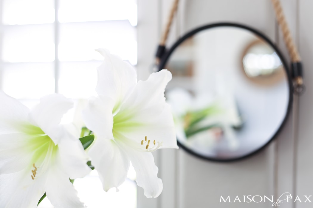 This casually elegant living room is all set to go for spring! Use these simple spring decorating ideas to get your home ready for spring.