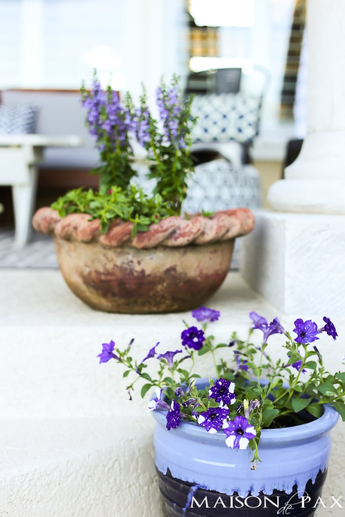 Tips for Creating Pretty Potted Plants: One of the easiest ways to spruce up any outdoor space is with beautiful potted plants. Don't miss these tips for planning, designing, planting, and caring for beautiful, healthy plants!