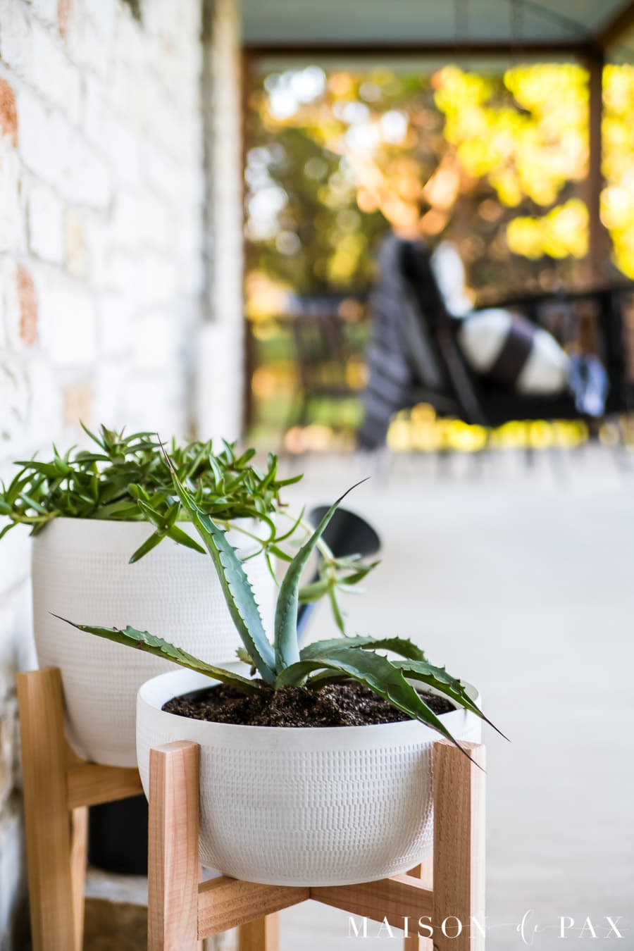 potted succulents in beautiful textured white pots with cedar stands | Maison de Pax
