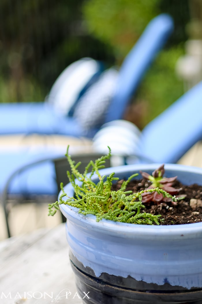 Outdoor Decorating Tips: bring color with ceramic pottery