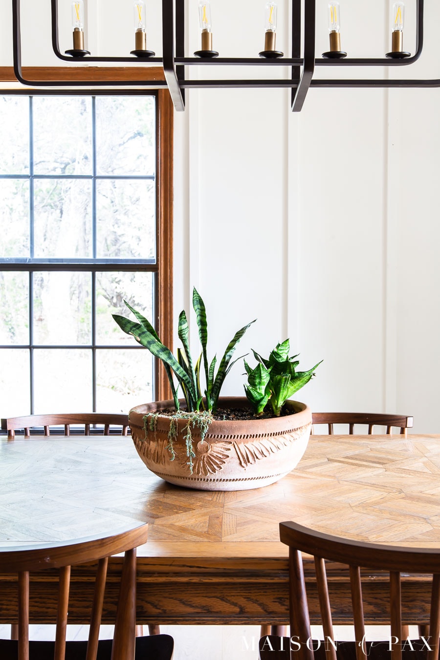 snake plant and dwarf sansevieria in a clay pot on table | Maison de Pax