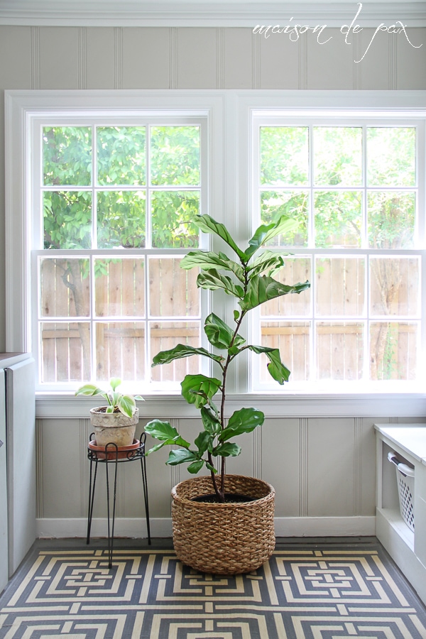 click for 10 ideas of places to put indoor plants! via aiweb9ygdry.cmersite.com