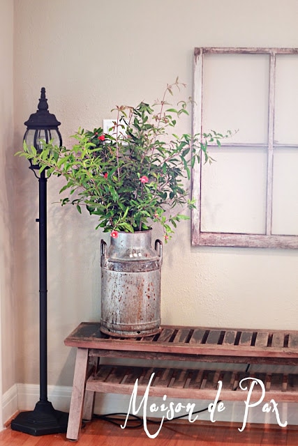 Raiding the Pomegranate Trees…