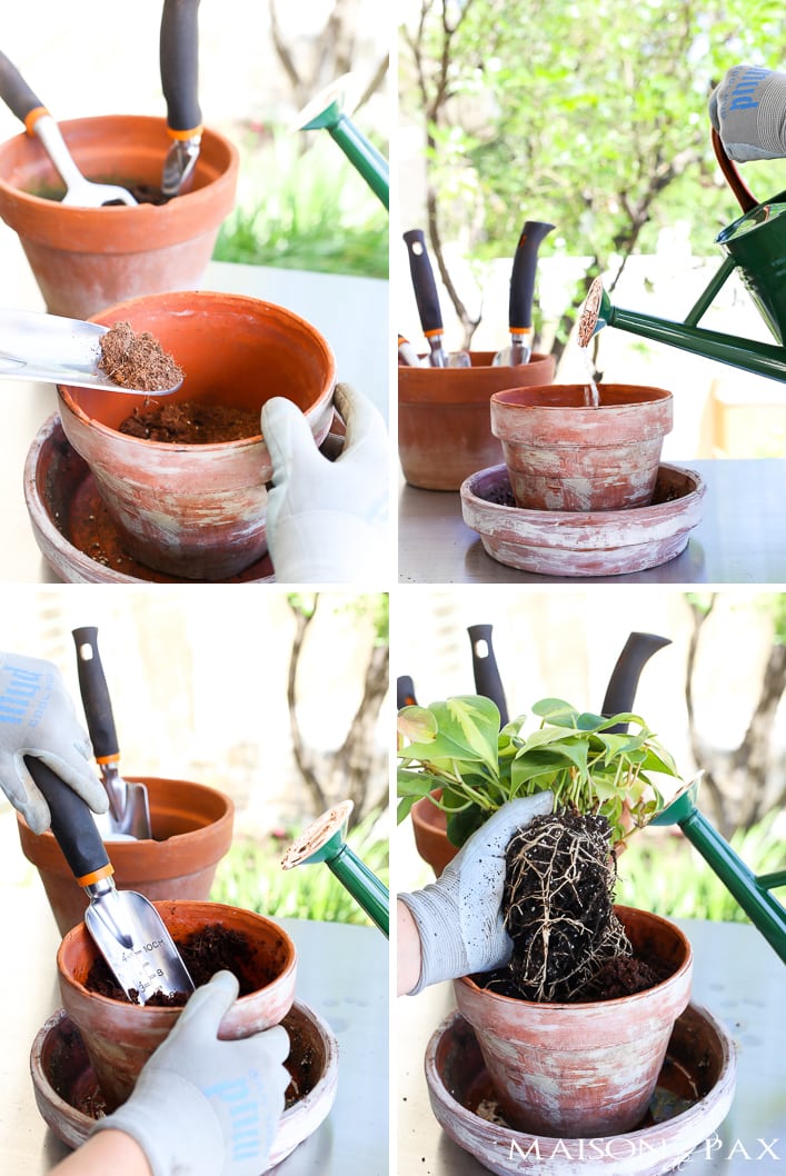 Five Best Basic Gardening Tools (available on Amazon!): Looking to develop that green thumb? You won't want to miss these useful gardening tools and products for all your gardening projects.