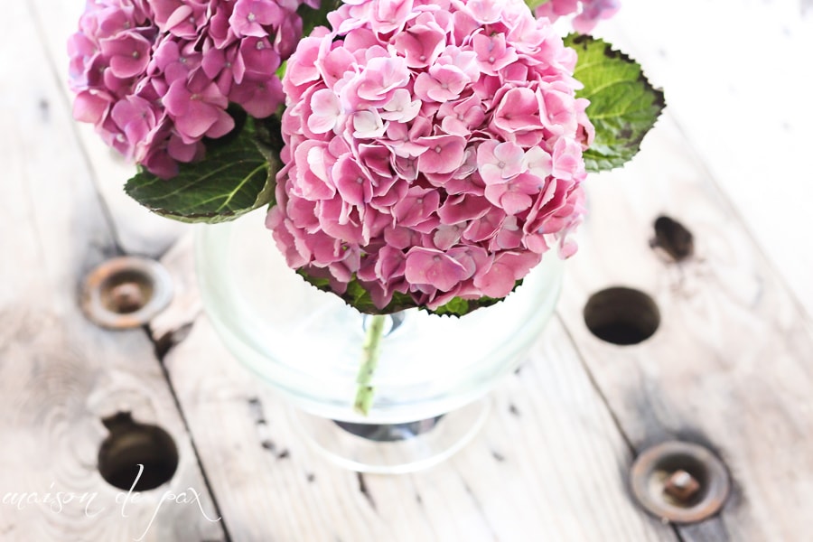 vase full of hydrangeas- Maison de Pax