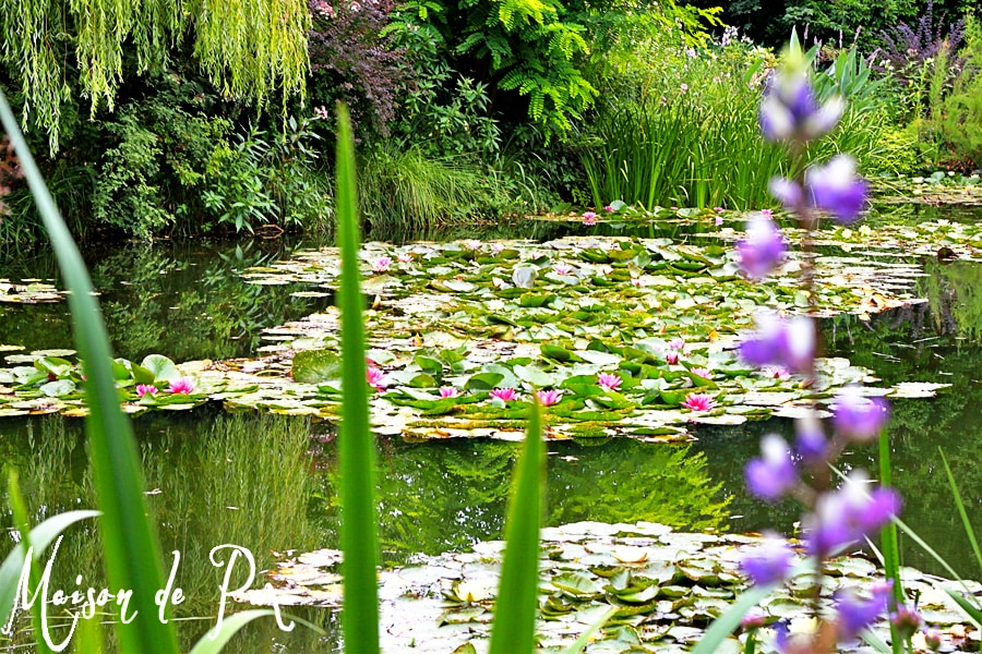 Stunning European photography available at www.etsy.com/shop/MaisonDePax #europe #spring #photography