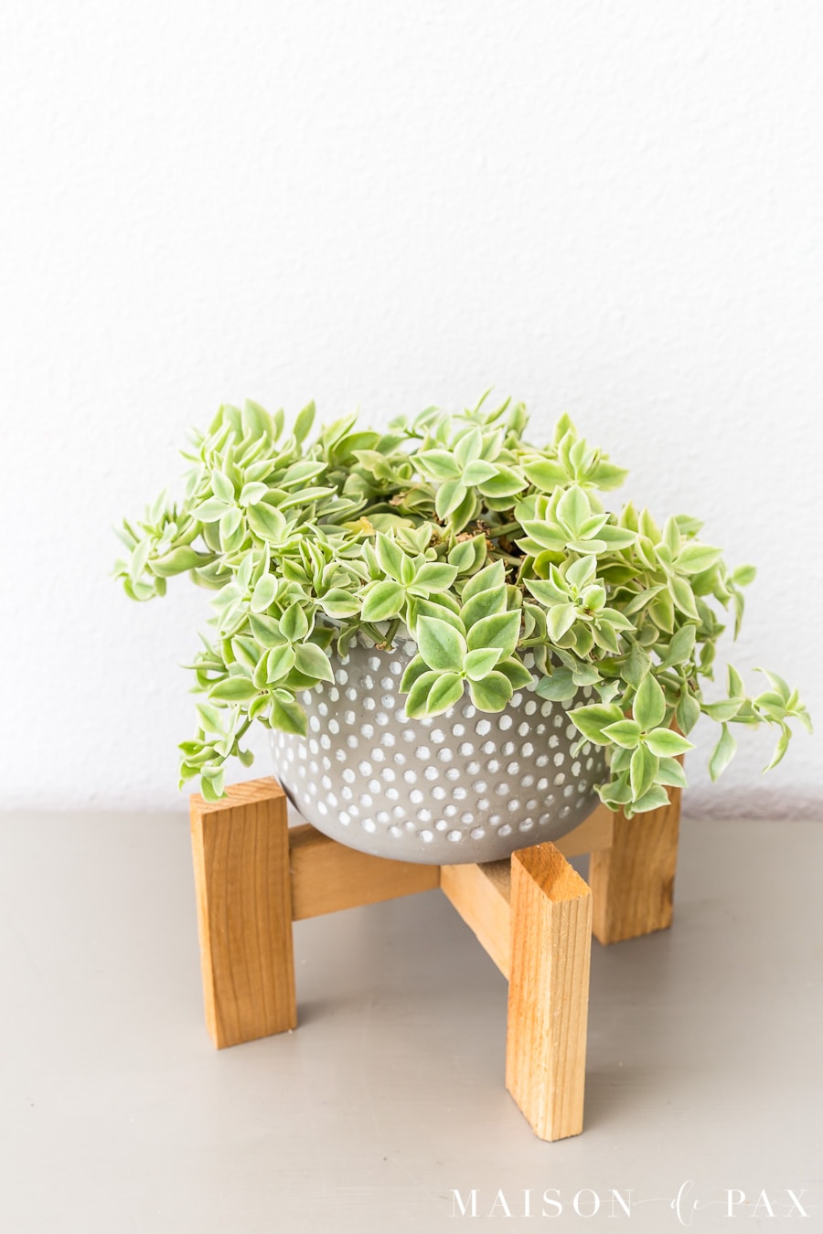 DIY Cedar Wood Plant Stand