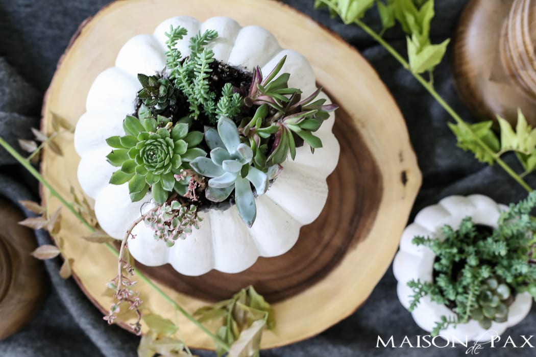 White pumpkin carved out with a variety of succulents- Maison de Pax
