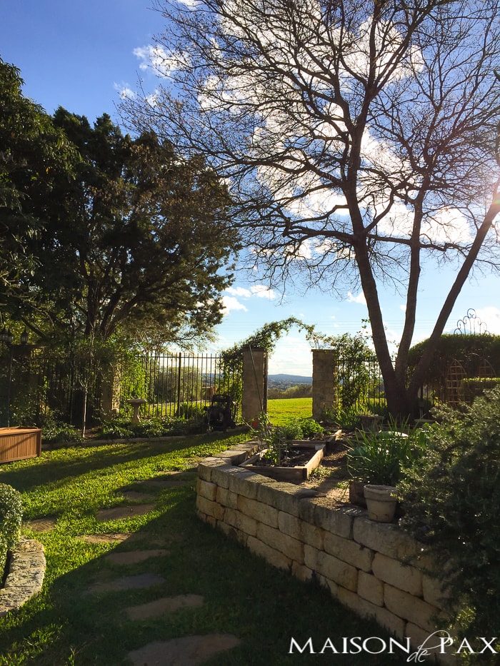 Texas Hill Country Beauty