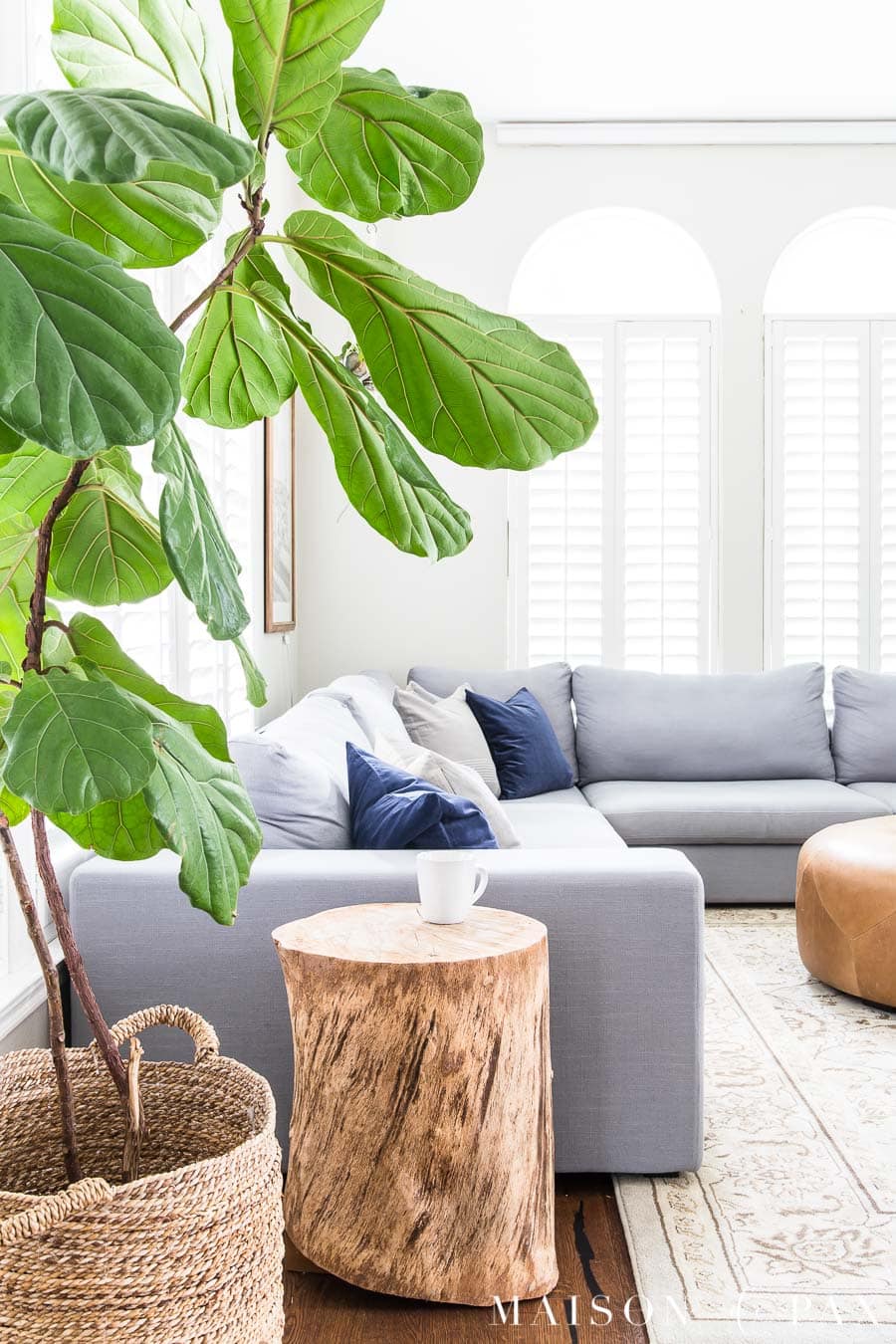 Gray Living Room with Simple Fall Decor