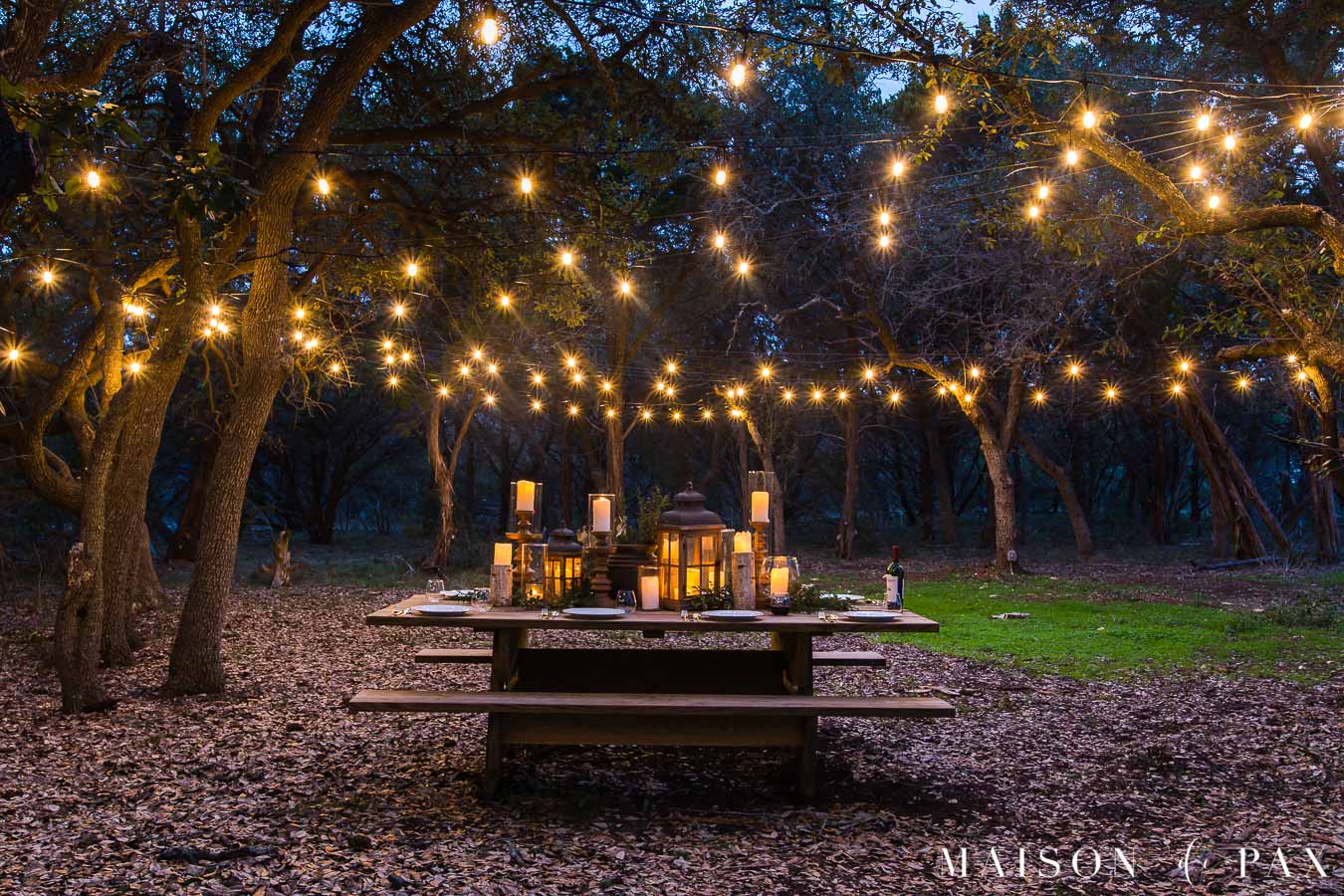 globe lights strung diagonally across a clearing | maison de pax