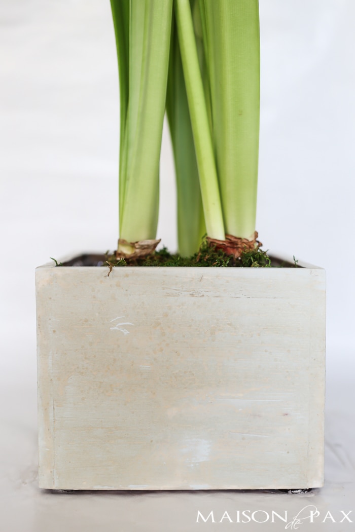 upcycle old box as planter with an antique layered paint look