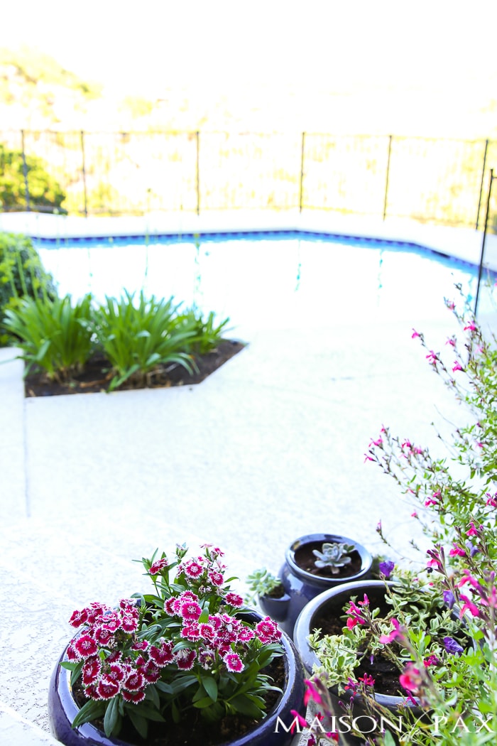 Pool view and porch planters with flowers- Maison de Pax