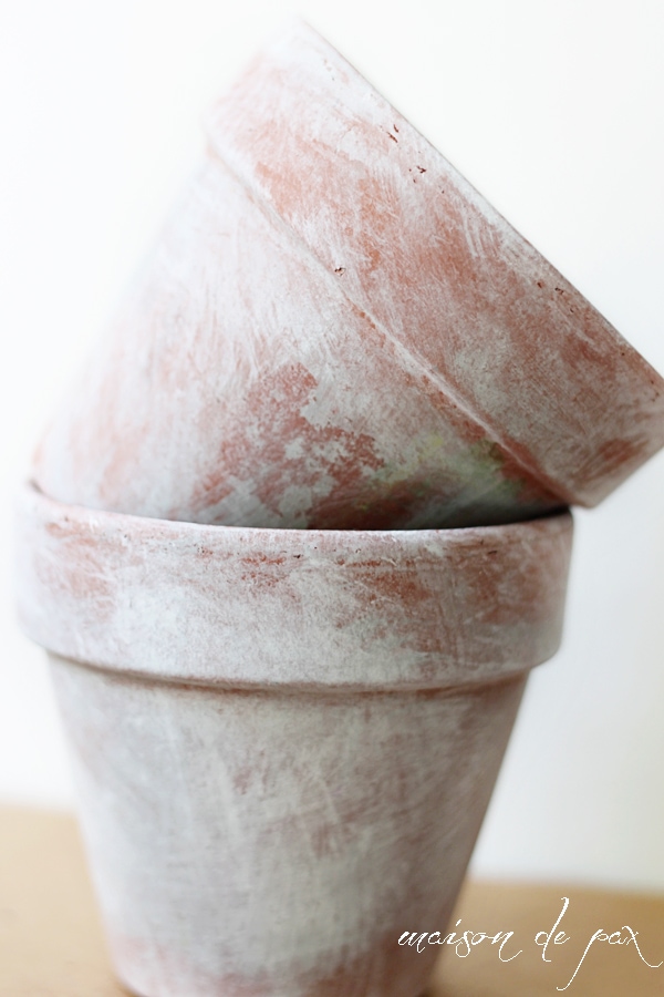 Create your own aged patina on terra cotta pots with this simple tutorial at aiweb9ygdry.cmersite.com