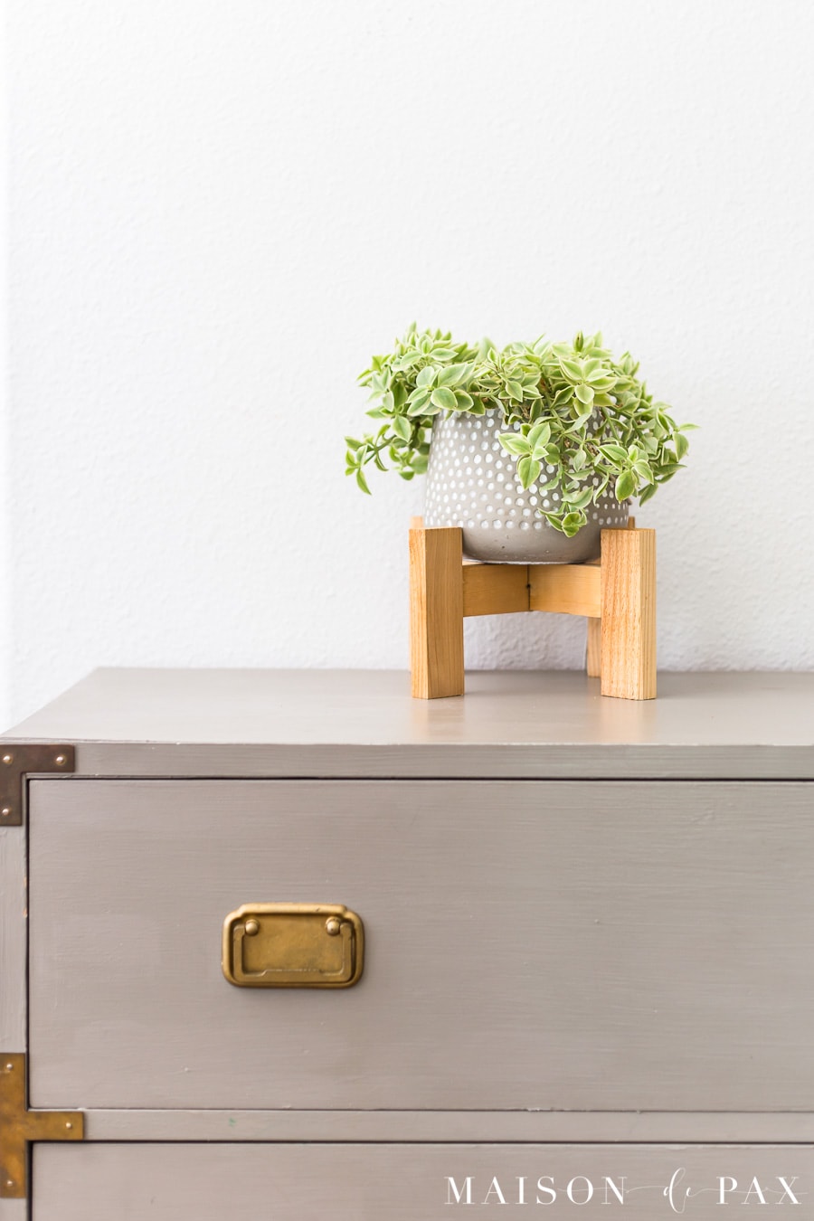 indoor houseplant: variegated ice plant in cute pot with wooden stand | Maison de Pax
