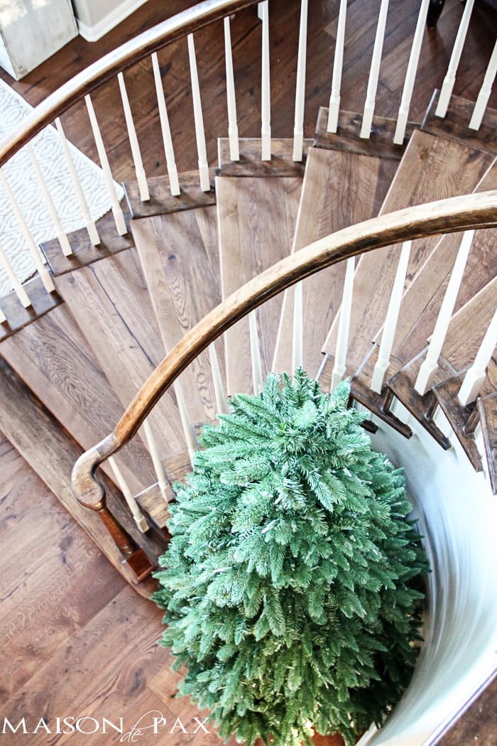 How to Pick the Perfect Christmas Tree