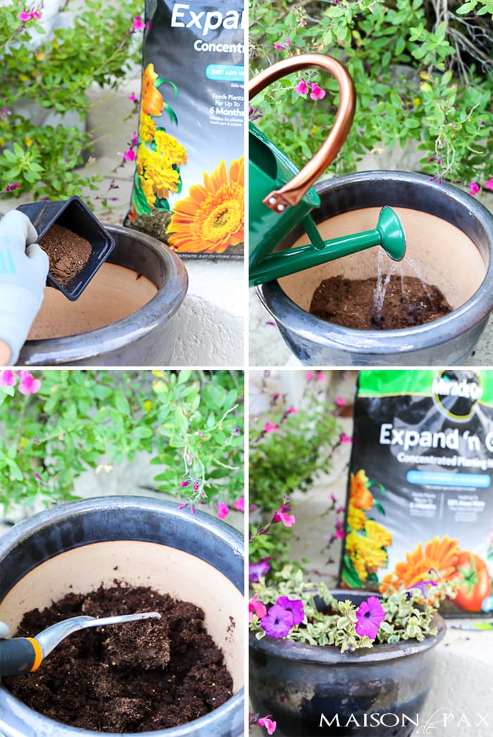 Step by step tutorial for planting annuals with soil- Maison de Pax