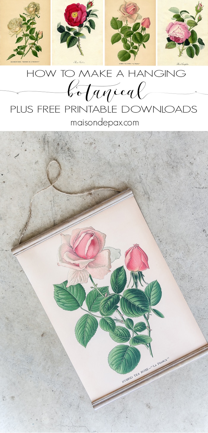 How to make a hanging printable botanical: This DIY hanging botanical creates a beautiful piece of wall art in no time at all! Plus choose from four free botanical prints to download.