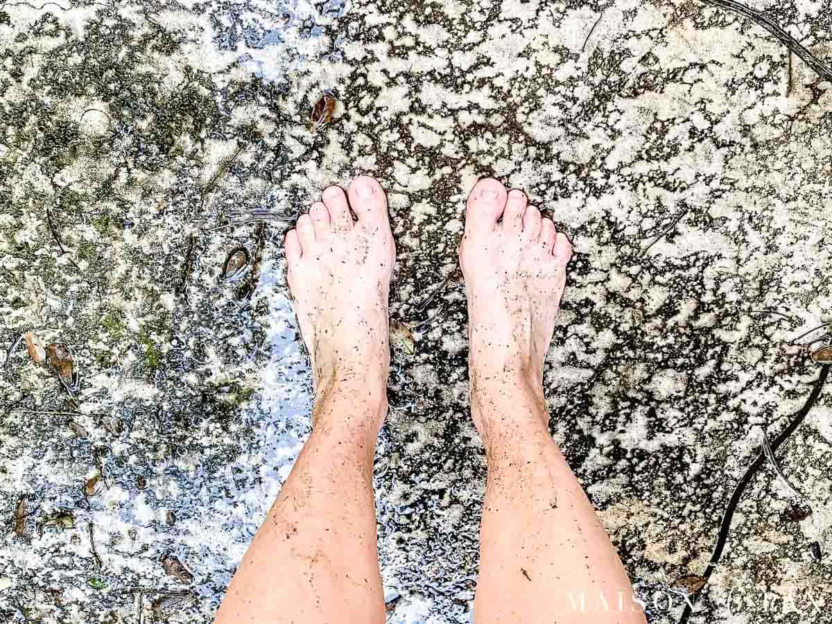 dirty deck and overspray from pressure washing | Maison de Pax