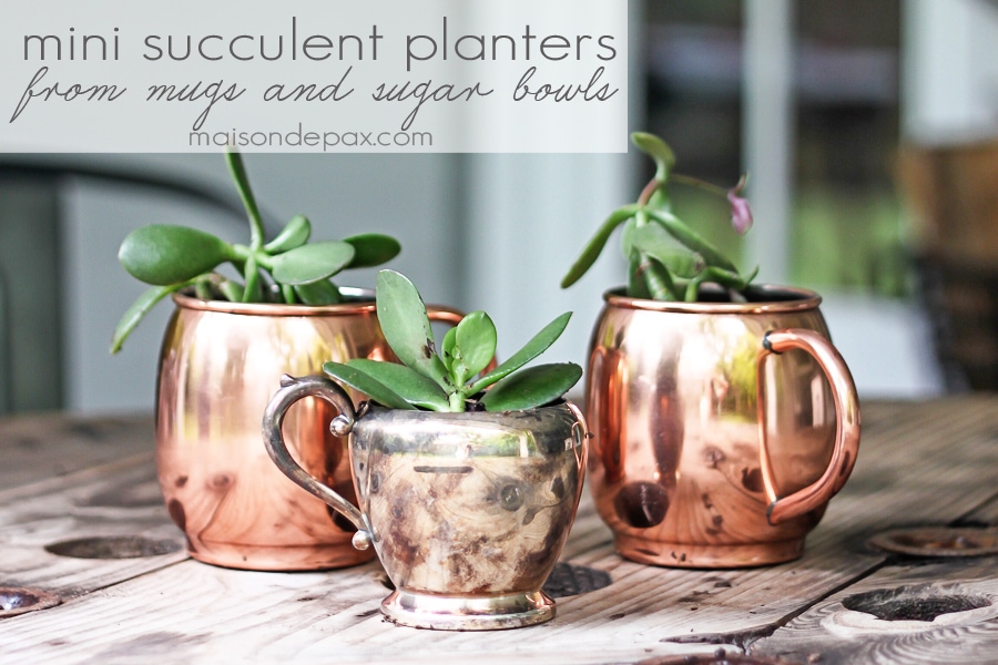 Mini Succulent Planters