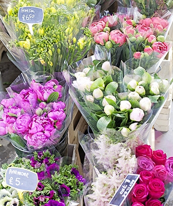 Shabbyfufu Flower Market in France 350