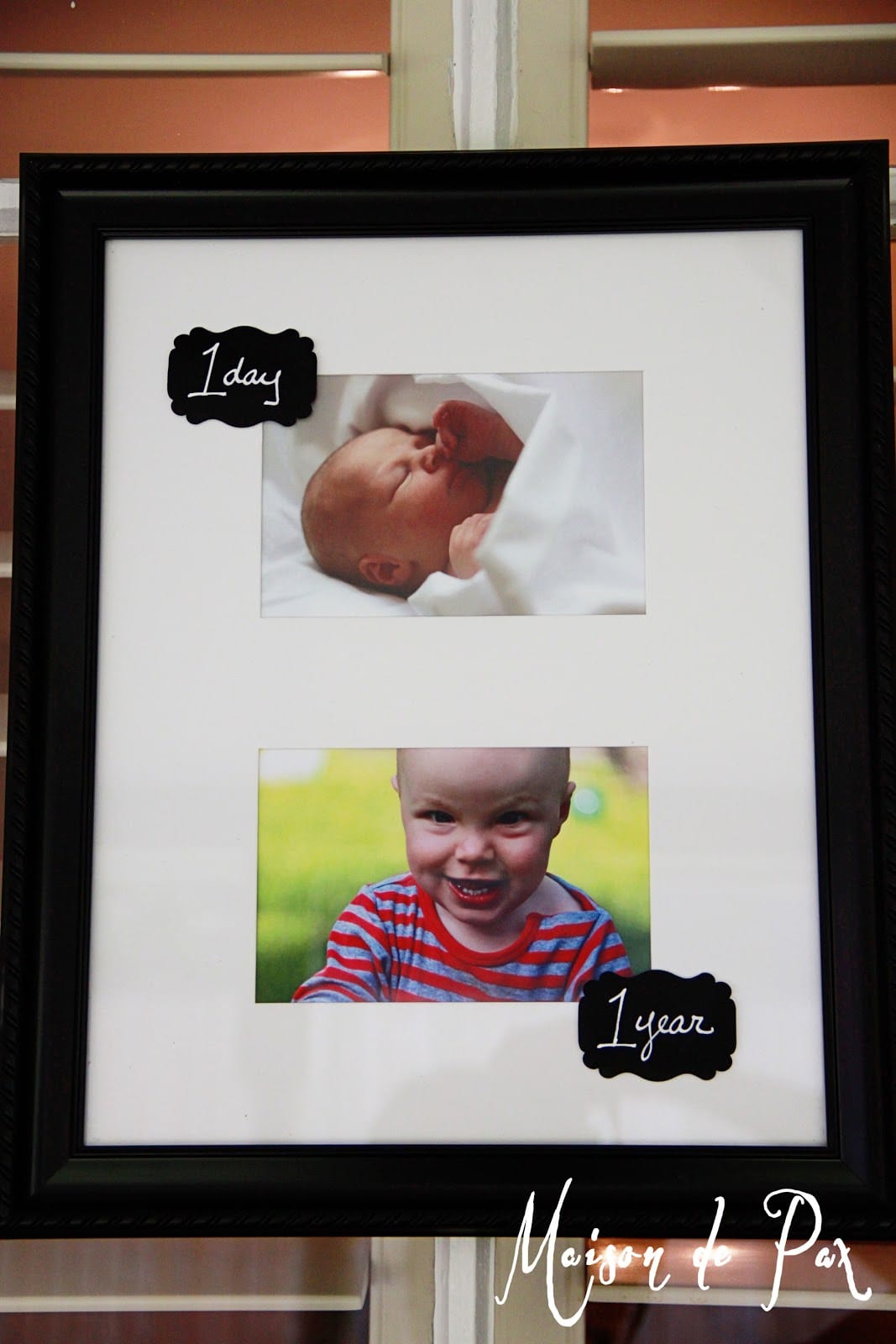 1 Day to 1 Year Pictures