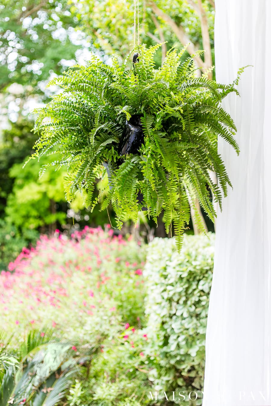 Wine Bottle Plant Waterer to Keep Plants Hydrated