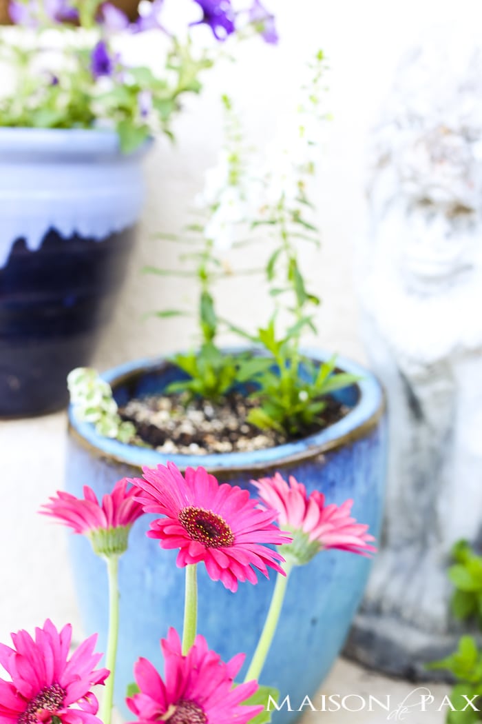 Porch planters with hot pink flowers- Maison de Pax