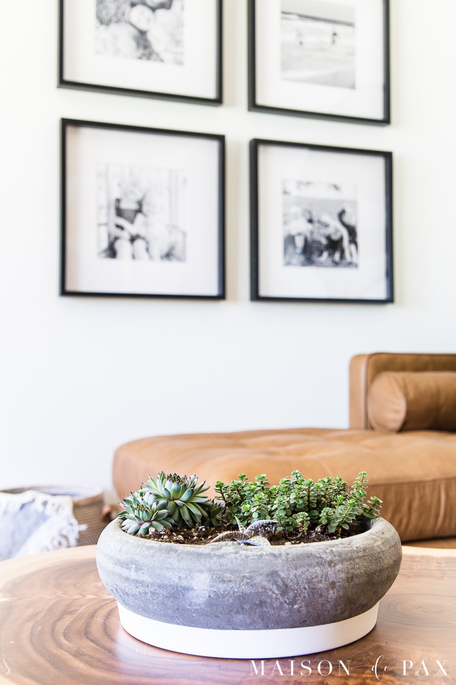succulents in concrete planter on cedar coffee table | Maison de Pax