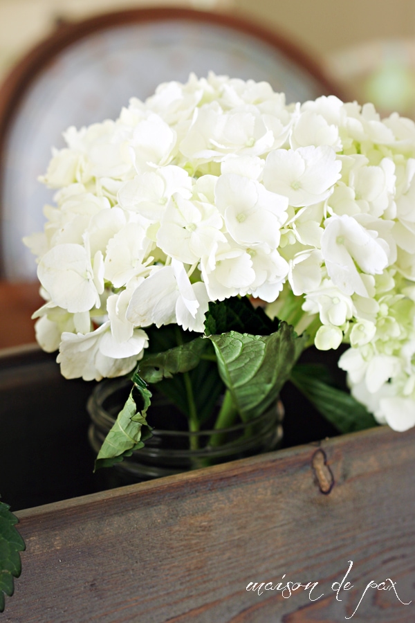 rustic box close flowers