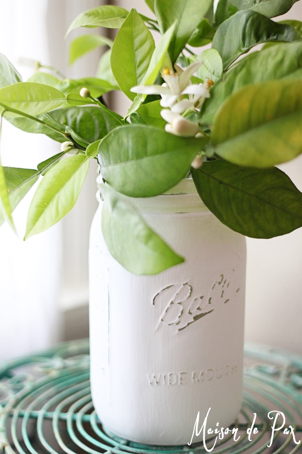 Ideas for bringing simple, fragrant greenery into your home to celebrate spring at aiweb9ygdry.cmersite.com