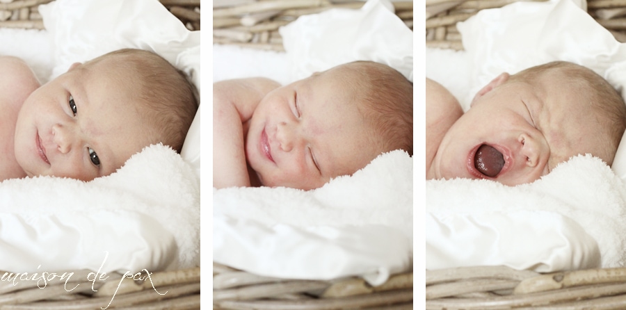 juliet collage 3