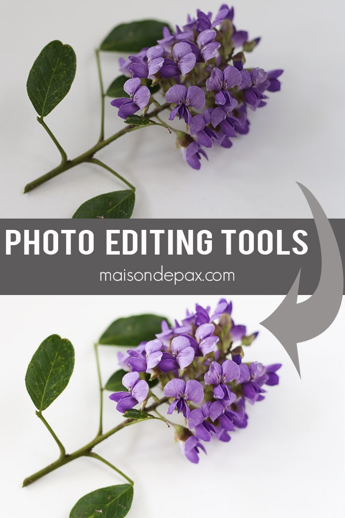 How to Improve Your Photography and Save Time