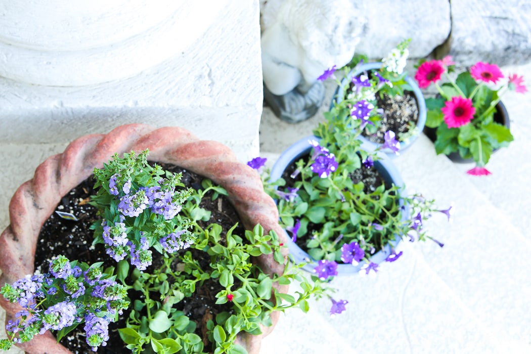 Tips for creating pretty porch pots- Maison de Pax