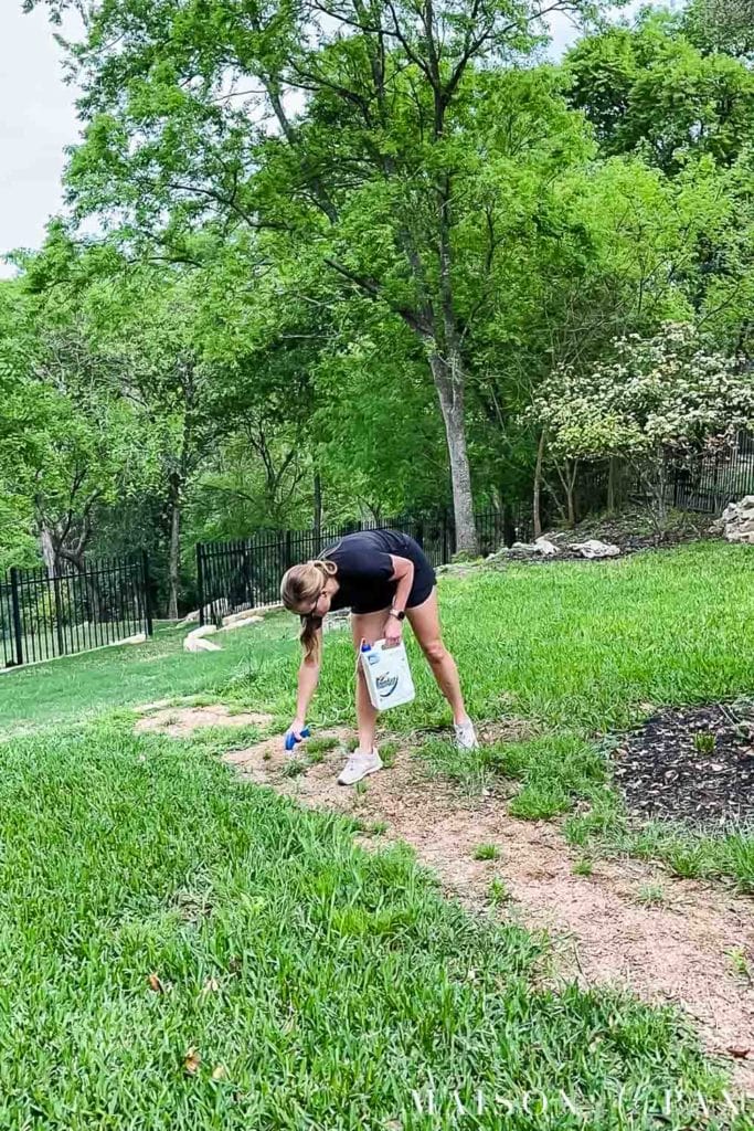 woman spraying weeds on pathway with round up