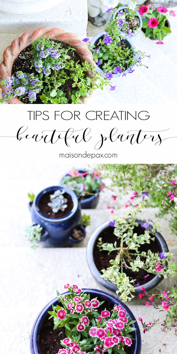 Tips for Creating Pretty Potted Plants- Maison de Pax