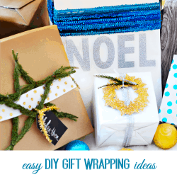 Easy DIY Gift Wrapping Ideas thumbnail