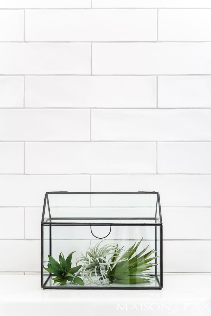 Succulent Home accessory above toilet- Maison de Pax