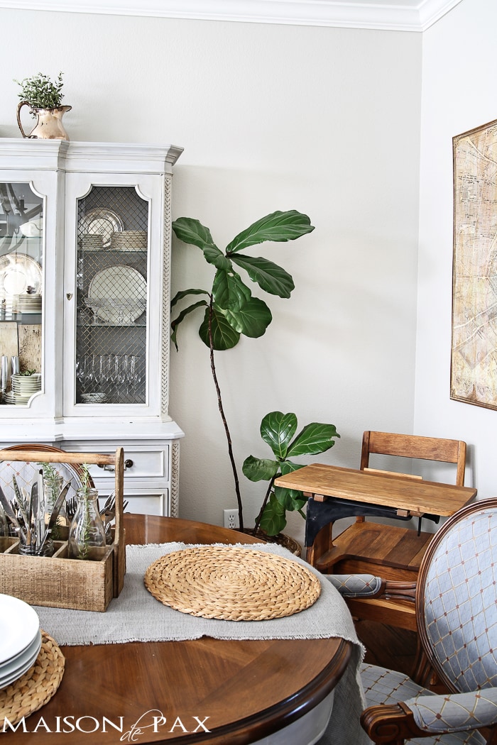vintage school desk and fiddle leaf fig