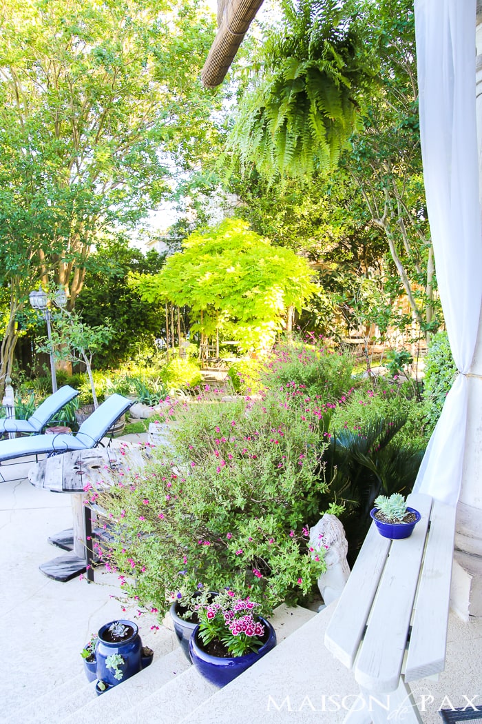 Tips for Creating Pretty Potted Plants: One of the easiest ways to spruce up any outdoor space is with beautiful potted plants. Don't miss these tips for planning, designing, planting, and caring for beautiful, healthy plants!